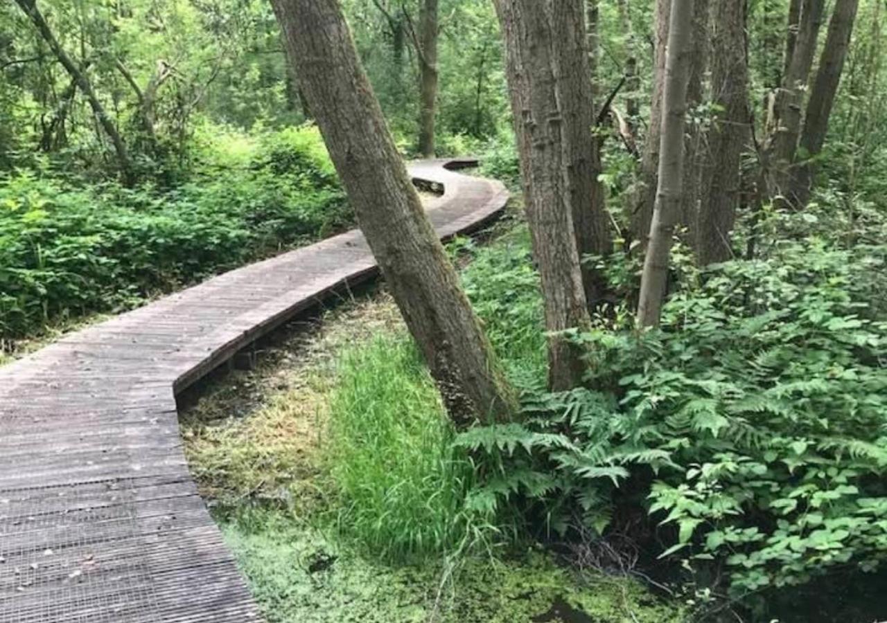 Vakantiewoning - 'T Ouwershuys Opoeteren Esterno foto